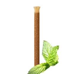 Siwak menthe